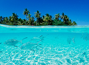 Beaches of Tulum